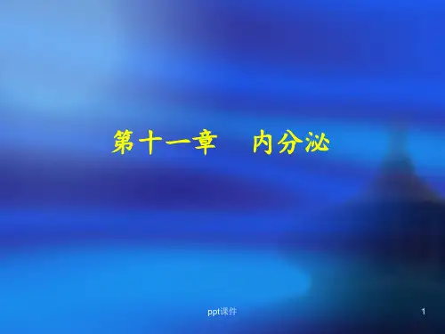 《人体解剖学》内分泌  ppt课件