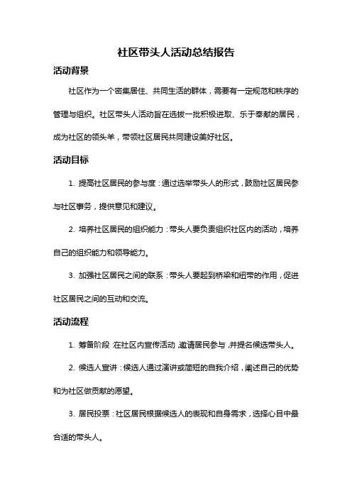 社区带头人活动总结报告