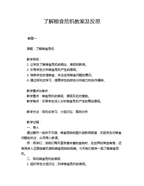 了解粮食危机教案及反思