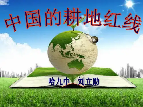 中国的耕地红线PPT课件