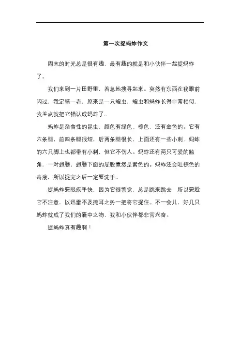 第一次捉蚂蚱作文