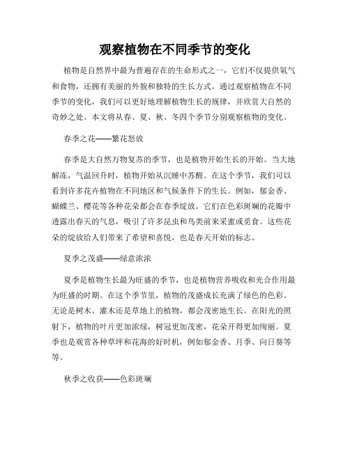 观察植物在不同季节的变化