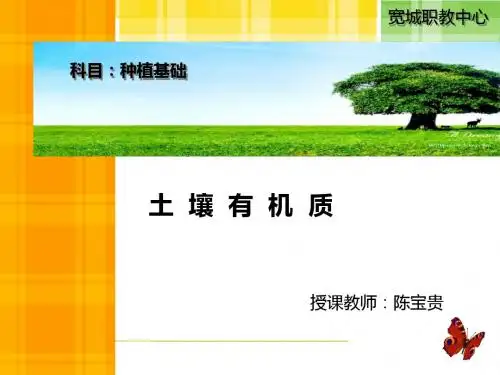 土壤有机质公开课