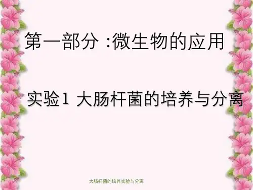 大肠杆菌的培养实验与分离