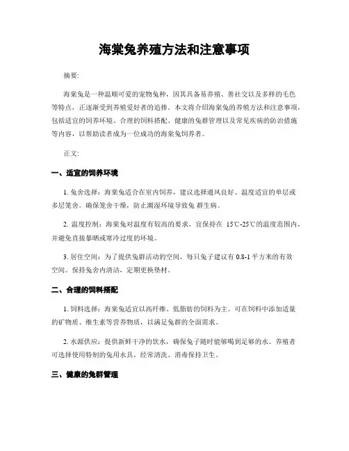 海棠兔养殖方法和注意事项