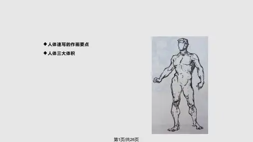 速写—人体结构PPT课件