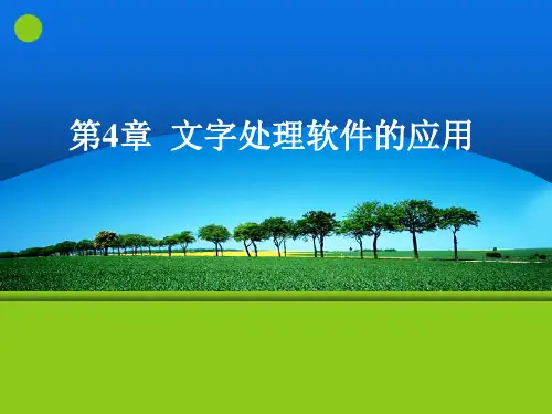 计算机应用基础(基础模块)第4章解析