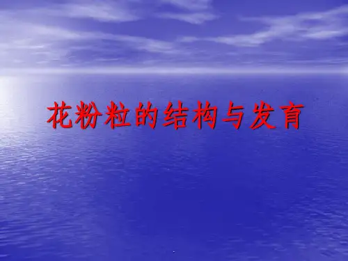 花粉粒的结构与发育ppt课件