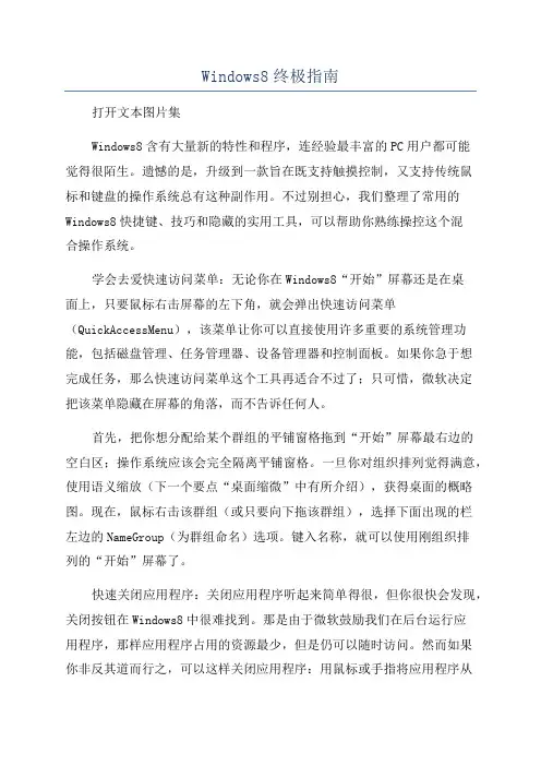 Windows8终极指南