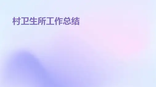 村卫生所工作总结PPT