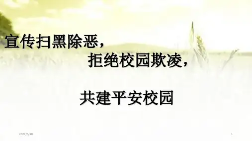 小学扫黑除恶主题班会PPT