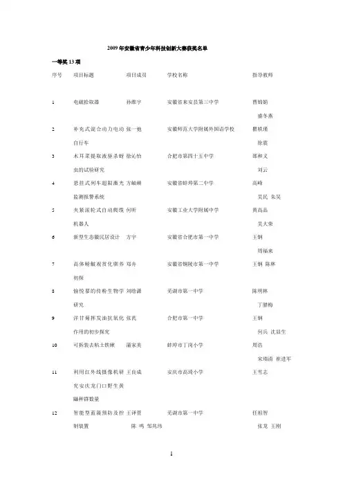 2009年安徽省青少年科技创新大赛获奖名单