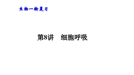 第8讲细胞呼吸 课件-高三生物一轮复习