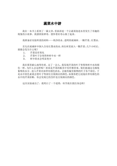 科技小论文1