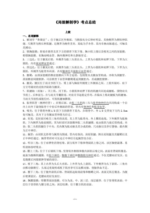 局部解剖学考点总结