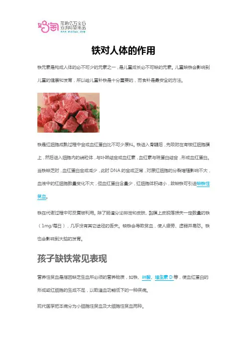 铁对人体的作用