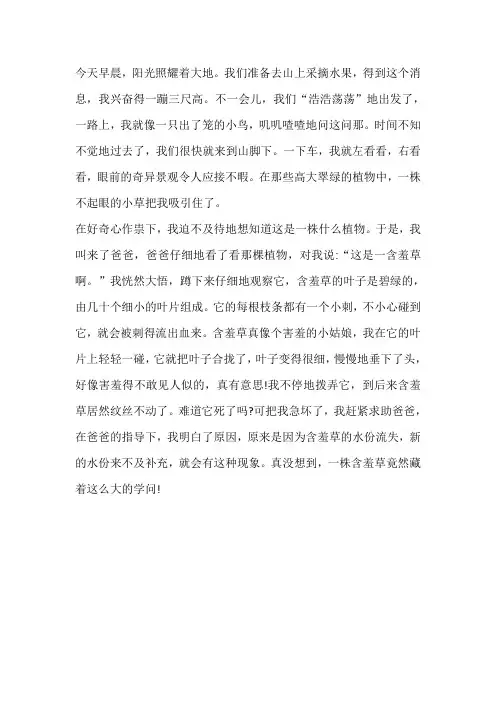 三年级下册1单元习作写含羞草作文