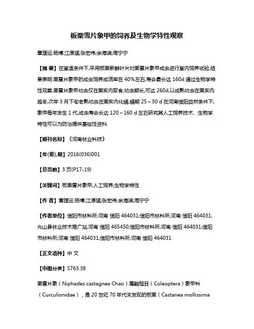 板栗雪片象甲的饲养及生物学特性观察
