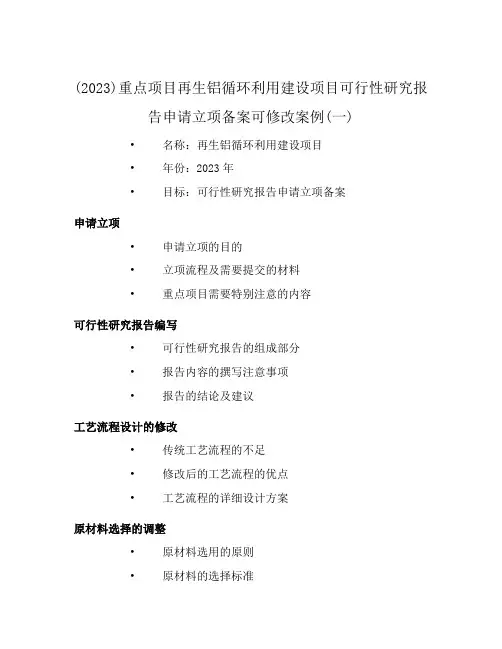 (2023)重点项目再生铝循环利用建设项目可行性研究报告申请立项备案可修改案例(一)