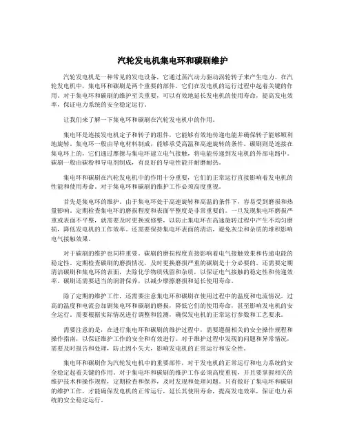 汽轮发电机集电环和碳刷维护