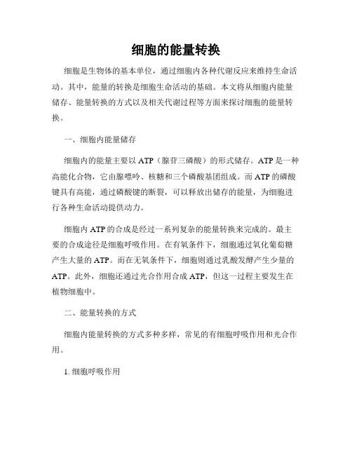 细胞的能量转换