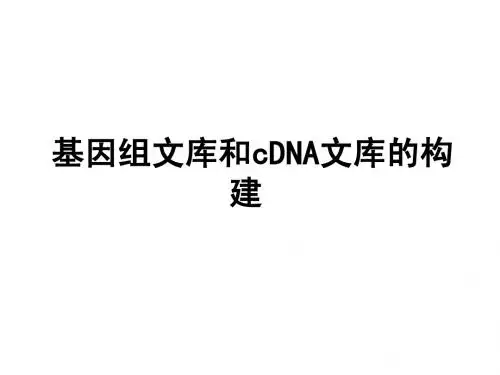 12 第十二讲  DNA文库的构建