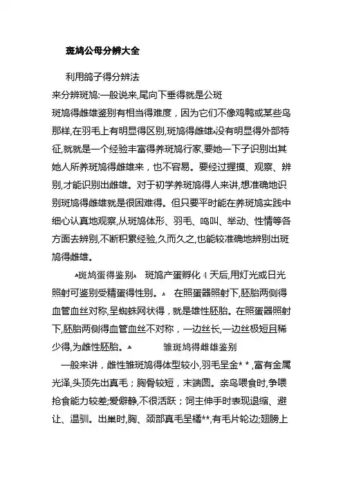 斑鸠公母分辨大全