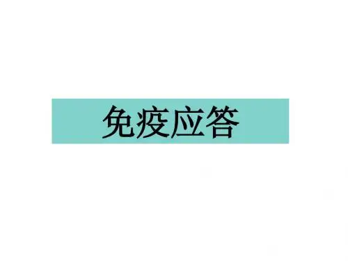 免疫应答