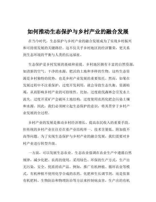 如何推动生态保护与乡村产业的融合发展