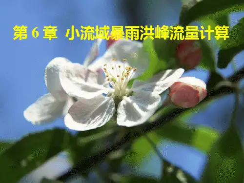 第6章小流域设计洪峰流量PPT课件