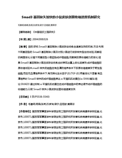 Smad3基因缺失加快的小鼠皮肤创面收缩速度机制研究