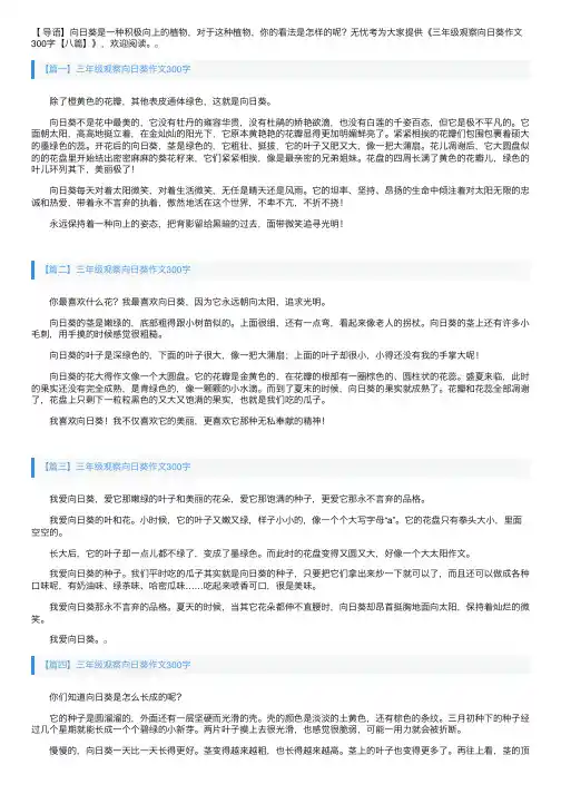 三年级观察向日葵作文300字【八篇】