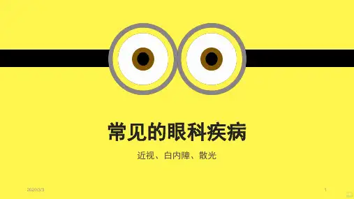 常见的眼科疾病PPT课件