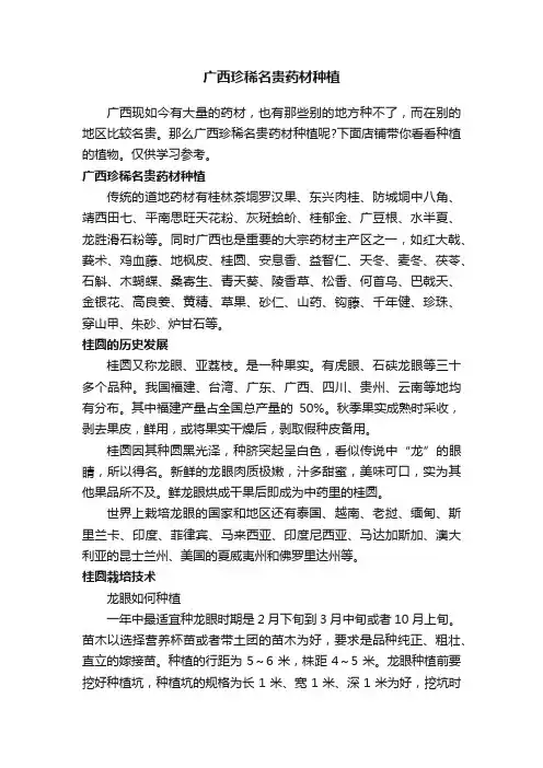 广西珍稀名贵药材种植