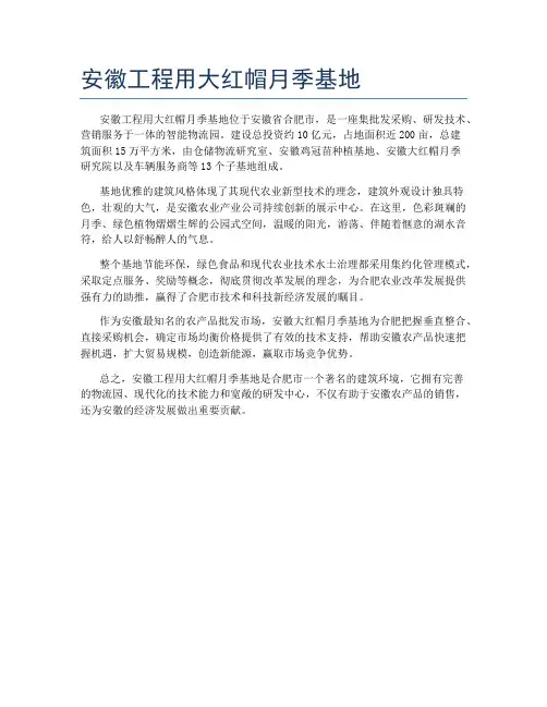 安徽工程用大红帽月季基地