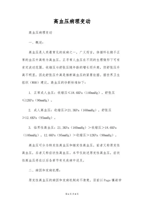 高血压病理变化