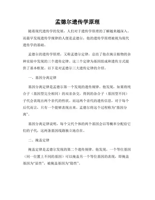 孟德尔遗传学原理