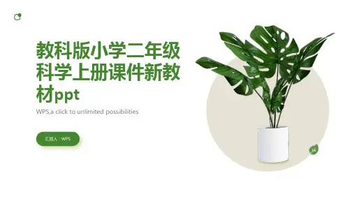 教科版小学二年级科学上册课件新教材ppt