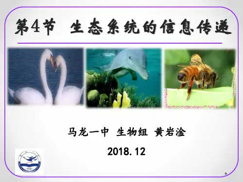 高中生物必修3《第4章生物与环境的协调发展第1节生态系统是一个相对稳定的系统...》15北师大PPT课件