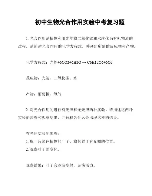 初中生物光合作用实验中考复习题