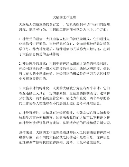 大脑的工作原理