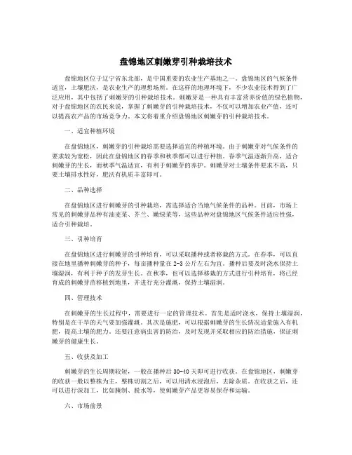 盘锦地区刺嫩芽引种栽培技术