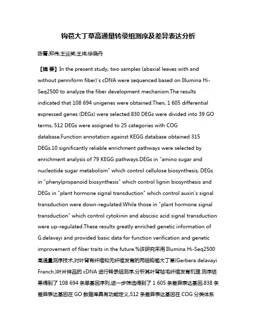 钩苞大丁草高通量转录组测序及差异表达分析