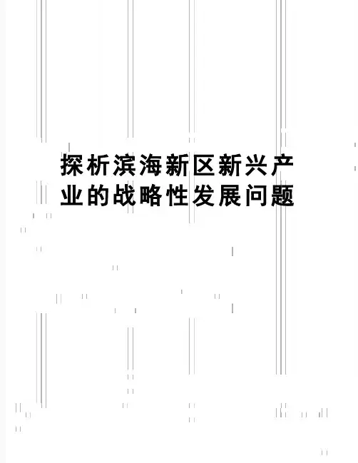【精品】探析滨海新区新兴产业的战略性发展问题