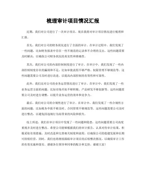 梳理审计项目情况汇报