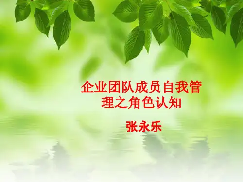 企业团队之角色认知