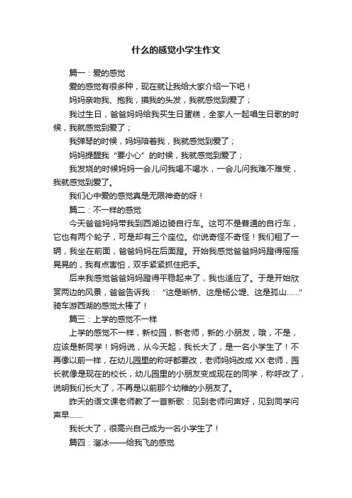 关于什么的感觉小学生作文五篇