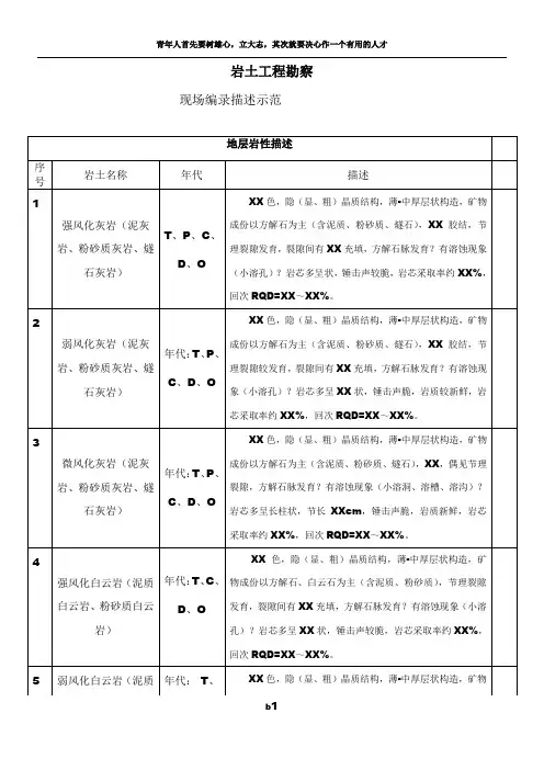 岩土工程勘察现场编录描述示范