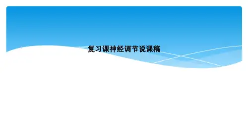 复习课神经调节说课稿