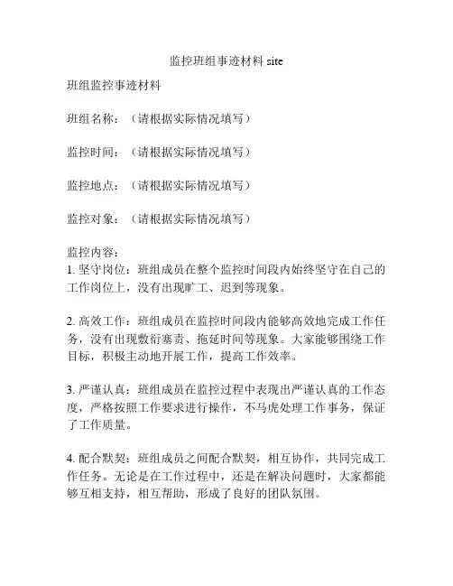监控班组事迹材料site